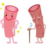 酸化ストレス
