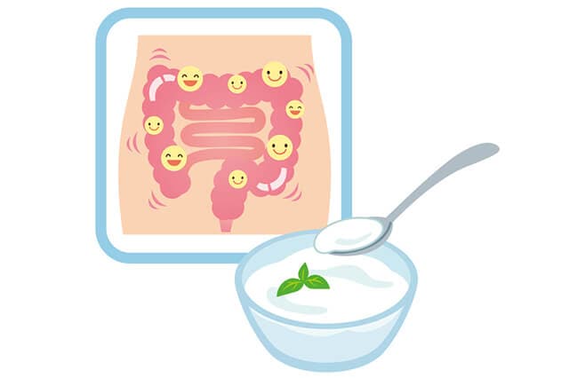 乳酸菌