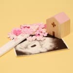 経膣超音波検査で子宮の詳しい状態を知っておこう!検査方法、注意点は?