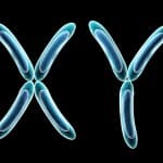 【医師監修】18トリソミー(エドワーズ症候群)の原因・種類・発生率・特徴など