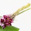 おなかの脂肪を減らす!?今話題のかずらの花由来イソフラボン配合サプリ・食品を徹底比較!