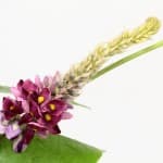 おなかの脂肪を減らす!?今話題のかずらの花由来イソフラボン配合サプリ・食品を徹底比較!