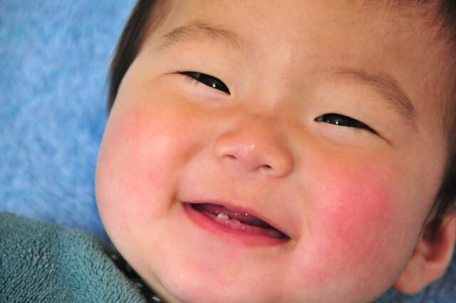 乳歯はどのような順番で生えてくるのでしょうか?