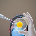 体外受精体験談、気になる費用やスケジュール顕微授精との違いについても説明します