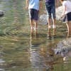 川遊び中に溺れることも！川や池に子どもだけで近づくのは危険がいっぱい！