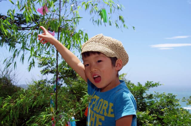 短冊を指差す男の子