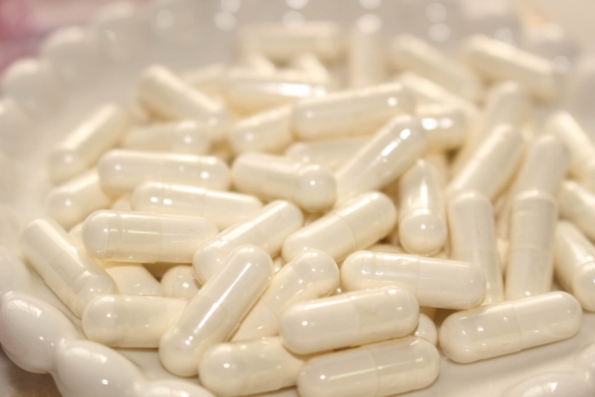 有胞子性乳酸菌