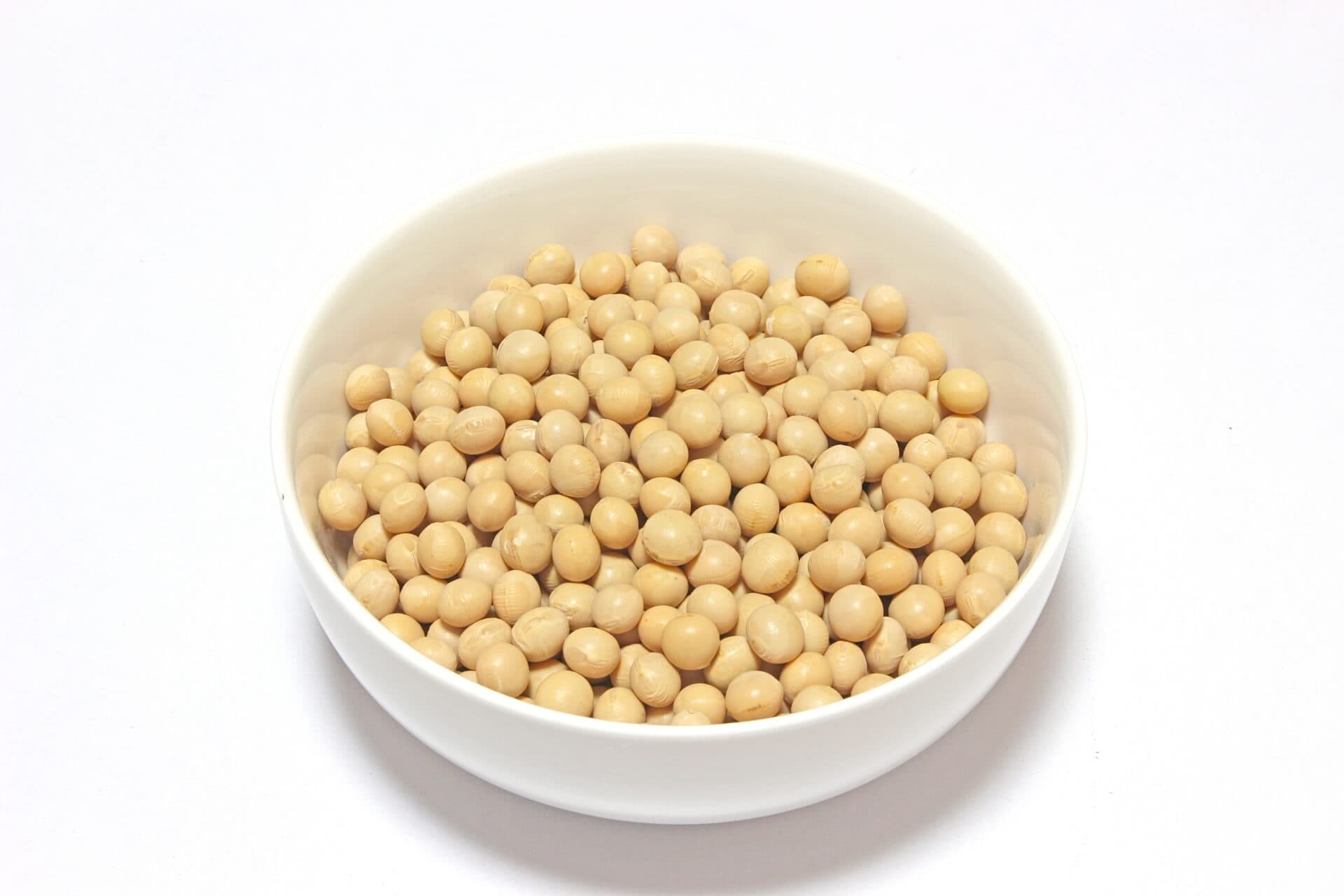 大豆胚芽