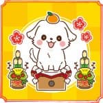 年賀状印刷サービスのおすすめ10選~写真入り年賀状を安く・簡単に・かわいく作ろう!~