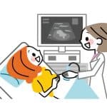 生まれてくるまでわからない!エコー検査で性別の間違いってあるの?