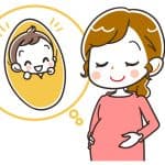 胎盤ってどんな役割をしているの? よい胎盤を作るには?